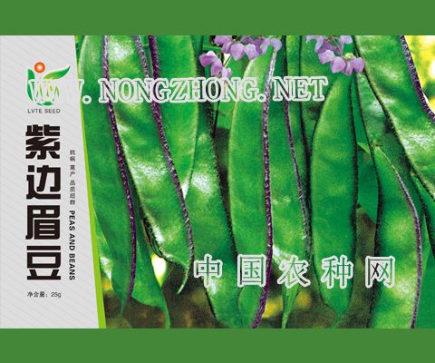 紫边眉豆